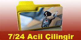 Dutluk oto çilingir
